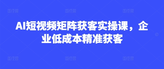 AI短视频矩阵获客实操课，企业低成本精准获客-苍穹网创