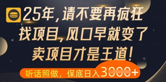什么？25年你还在疯狂找项目做，醒醒吧，看完这些你全都懂了【揭秘】-苍穹网创