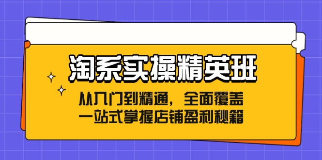 淘系实操精英班：从入门到精通，全面覆盖，一站式掌握店铺盈利秘籍-苍穹网创