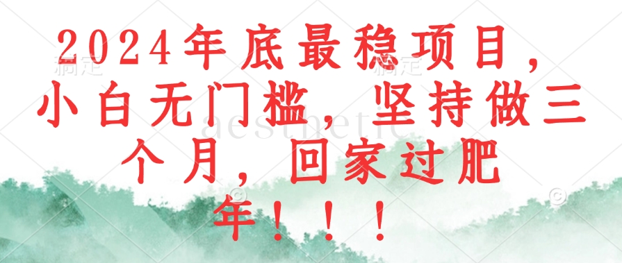 2024年底最稳项目，小白无门槛，坚持做三个月，回家过肥年！！！-苍穹网创