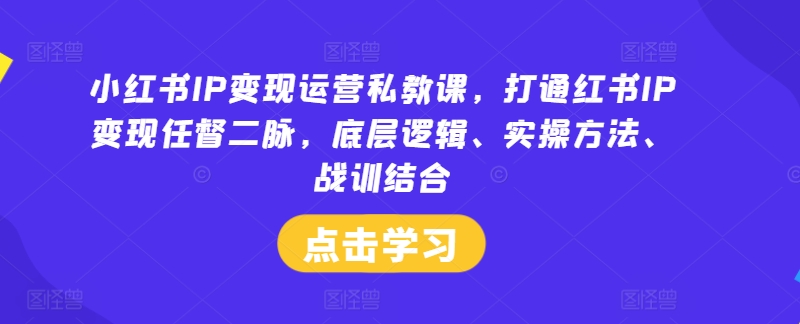 小红书IP变现运营私教课，打通红书IP变现任督二脉，底层逻辑、实操方法、战训结合-苍穹网创