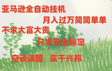 亚马逊全自动浏览挂机，，收益稳定且前景广阔-苍穹网创