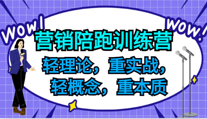 营销陪跑训练营，轻理论，重实战，轻概念，重本质，适合中小企业和初创企业的老板-苍穹网创