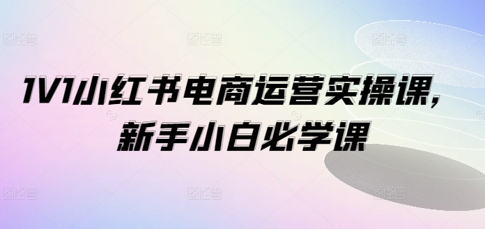 1V1小红书电商运营实操课，新手小白必学课-苍穹网创