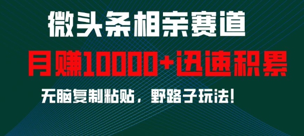 微头条相亲赛道，迅速积累，无脑复制粘贴，野路子玩法，月入1w-苍穹网创