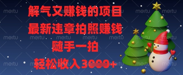 解气又挣钱的项目，最新违章拍照挣钱，随手一拍，轻松收入数张【揭秘】-苍穹网创