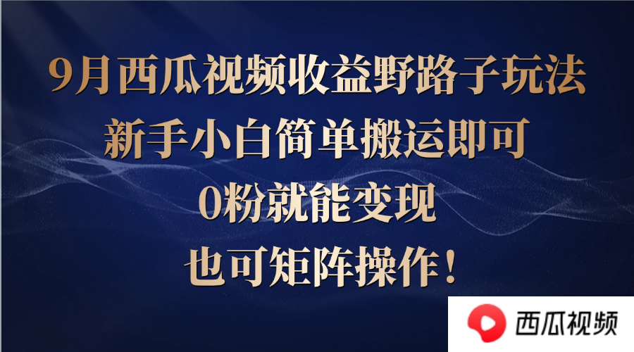 西瓜视频收益野路子玩法，新手小白简单搬运即可，0粉就能变现，也可矩…-苍穹网创