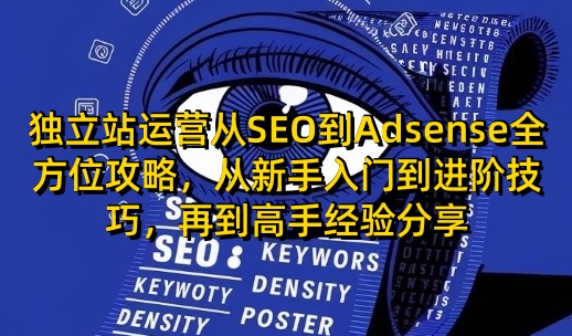 独立站运营从SEO到Adsense全方位攻略，从新手入门到进阶技巧，再到高手经验分享-苍穹网创