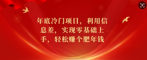 年底冷门项目，利用信息差，实现零基础上手，轻松赚个肥年钱【揭秘】-苍穹网创