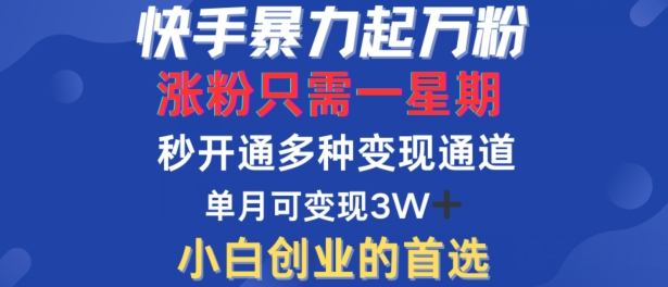 快手暴力起万粉，涨粉只需一星期，多种变现模式，直接秒开万合，单月变现过W【揭秘】-苍穹网创