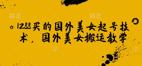 1288买的国外美女起号技术，国外美女搬运教学-苍穹网创