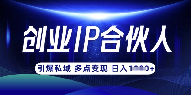 云帆·创业ip合伙人打造3.0，从0到1教你做网创，实现月入过W-苍穹网创