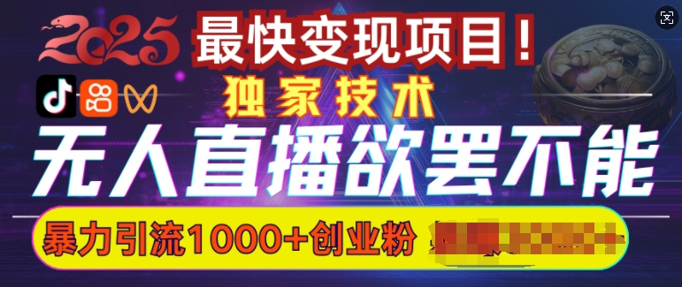 欲罢不能的无人直播引流，超暴力日引流1000+高质量精准创业粉-苍穹网创