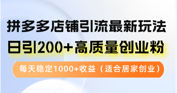 拼多多店铺引流最新玩法，日引200+高质量创业粉，每天稳定1000+收益(…-苍穹网创