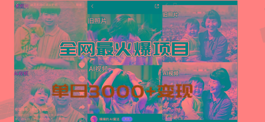 全网爆火的AI让老照片动起来教程，蹭热点日赚3000+，内含免费工具一键…-苍穹网创