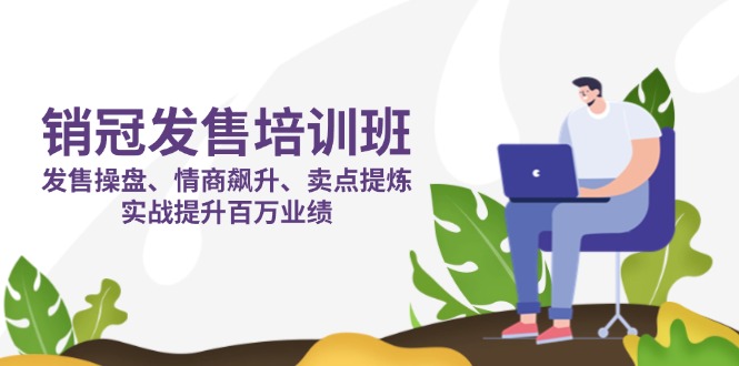 销冠 发售培训班：发售 操盘+情商 飙升+卖点 提炼，实战提升百万业绩-苍穹网创