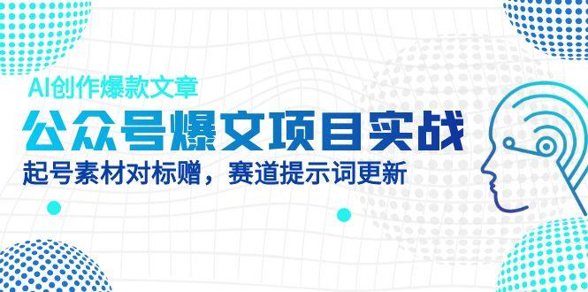 公众号爆文项目实战，AI创作爆款文章，起号素材对标赠(附赛道AI提示词-苍穹网创