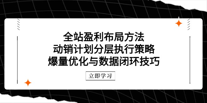 全站盈利布局方法：动销计划分层执行策略，爆量优化与数据闭环技巧-苍穹网创