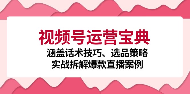 视频号运营宝典：涵盖话术技巧、选品策略、实战拆解爆款直播案例-苍穹网创