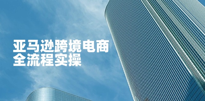 亚马逊跨境电商全流程实操，教你从零开始，掌握店铺运营与广告技巧-苍穹网创