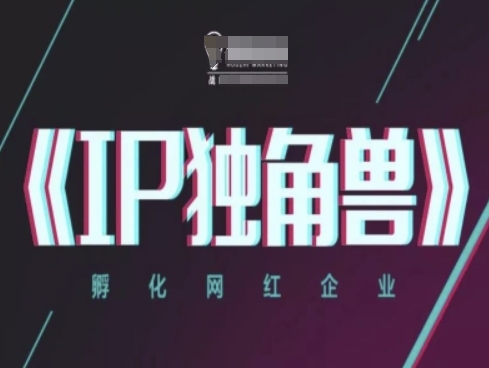 IP独角兽，孵化网红企业，ip教程-苍穹网创