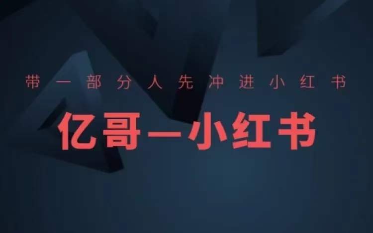 ​​带一部分人先冲进小红书，小红书开店、选品、爆款裂变-苍穹网创