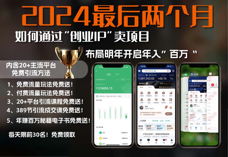 2024最后两个月如何通过”创业IP“卖项目年入”百万“,创业IP+最强引流…-苍穹网创