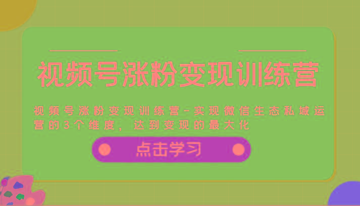 视频号涨粉变现训练营-实现微信生态私域运营的3个维度，达到变现的最大化-苍穹网创