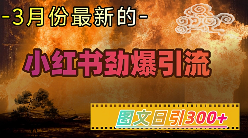 小红书超劲爆引流手段，图文日引300+轻松变现1W-苍穹网创