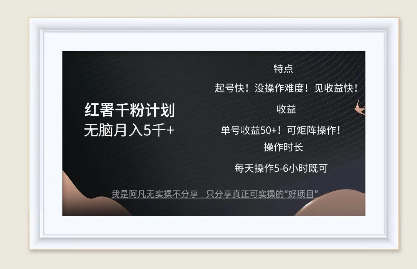 红薯千粉计划无脑月入5千+！既做既赚！-苍穹网创
