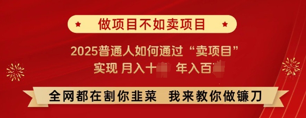 必看，做项目不如卖项目，2025普通人如何通过“卖项目”实现月入十个，年入百个-苍穹网创