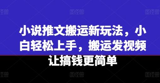 小说推文搬运新玩法，小白轻松上手，搬运发视频让搞钱更简单-苍穹网创