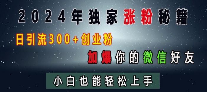 2024年独家涨粉秘籍，日引流300+创业粉，加爆你的微信好友，小白也能轻松上手-苍穹网创