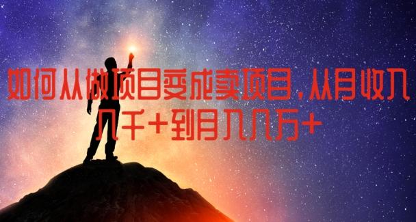 如何从做项目变成卖项目，从月收入几千到月入几万【揭秘】-苍穹网创