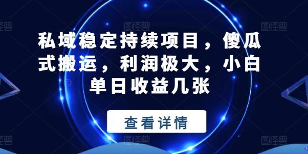 私域稳定持续项目，傻瓜式搬运，利润极大，小白单日收益几张【揭秘】-苍穹网创