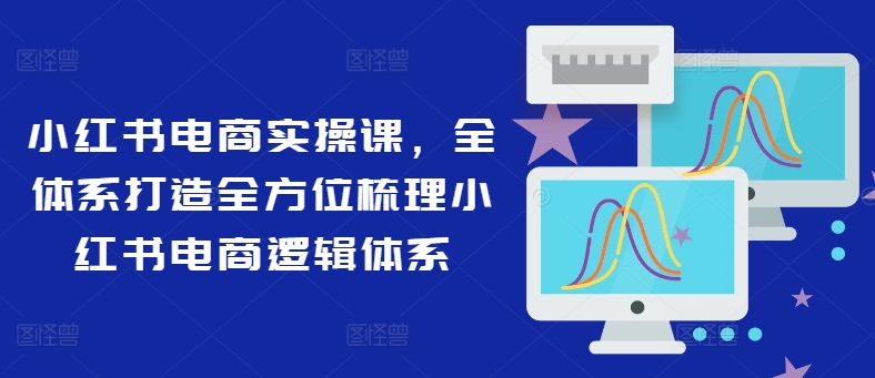 小红书电商实操课，全体系打造全方位梳理小红书电商逻辑体系-苍穹网创