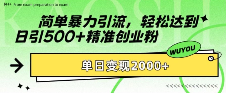 简单暴力引流，轻松达到日引500+精准创业粉，单日变现2k【揭秘】-苍穹网创