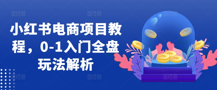 小红书电商项目教程，0-1入门全盘玩法解析-苍穹网创