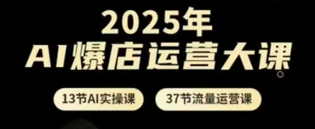 2025年AI爆店运营大课，13节AI实操课+37节流量运营课-苍穹网创