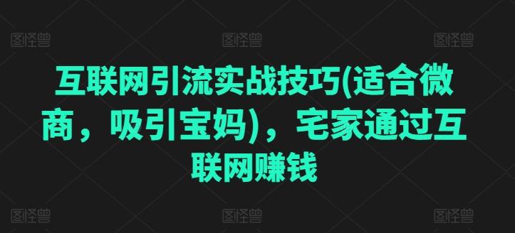互联网引流实战技巧(适合微商，吸引宝妈)，宅家通过互联网赚钱-苍穹网创