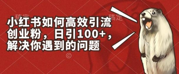小红书如何高效引流创业粉，日引100+，解决你遇到的问题【揭秘】-苍穹网创