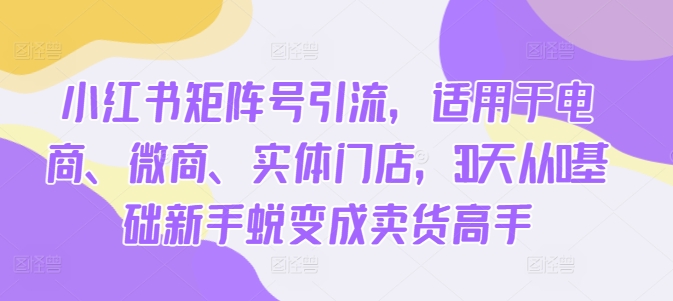 小红书矩阵号引流，适用于电商、微商、实体门店，30天从0基础新手蜕变成卖货高手-苍穹网创