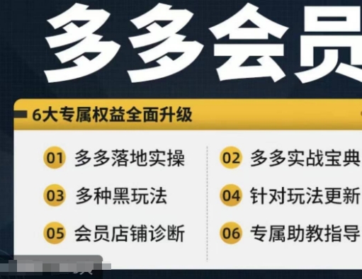 拼多多会员，拼多多实战宝典+实战落地实操，从新手到高阶内容全面覆盖-苍穹网创