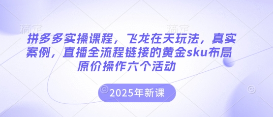 拼多多实操课程，飞龙在天玩法，真实案例，直播全流程链接的黄金sku布局原价操作六个活动-苍穹网创