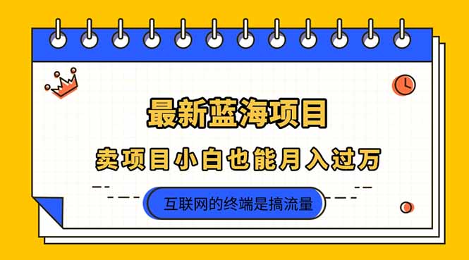 2025年最新蓝海项目，卖项目小白也能月入过万-苍穹网创