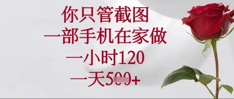 你只管截图，一部手机在家操作，一小时120.一天5张【揭秘】-苍穹网创