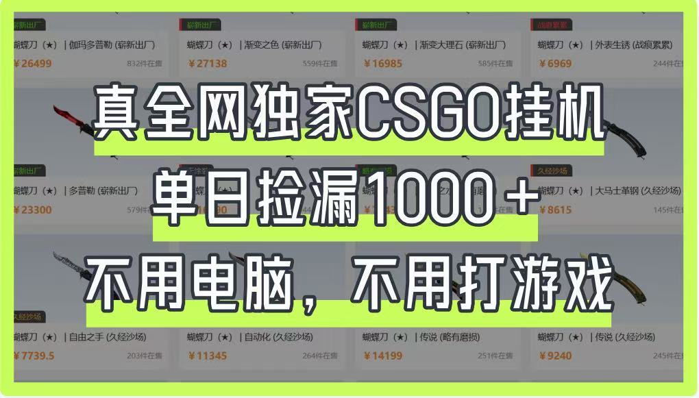真全网独家CSGO挂机，单日捡漏1000+，不用电脑，不用养号-苍穹网创