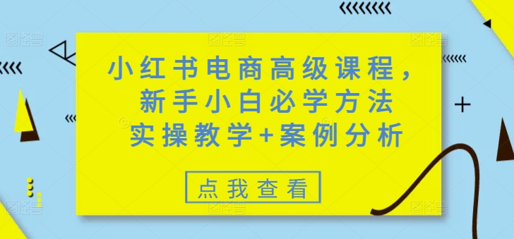 小红书电商高级课程，新手小白必学方法，实操教学+案例分析-苍穹网创