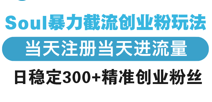 Soul暴力截流创业粉玩法，当天注册当天进流量，日稳定300+精准创业粉丝-苍穹网创