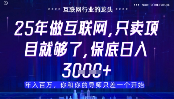 什么！25年你还在找项目做？风口早就变了，卖项目才是稳挣不赔【揭秘】-苍穹网创